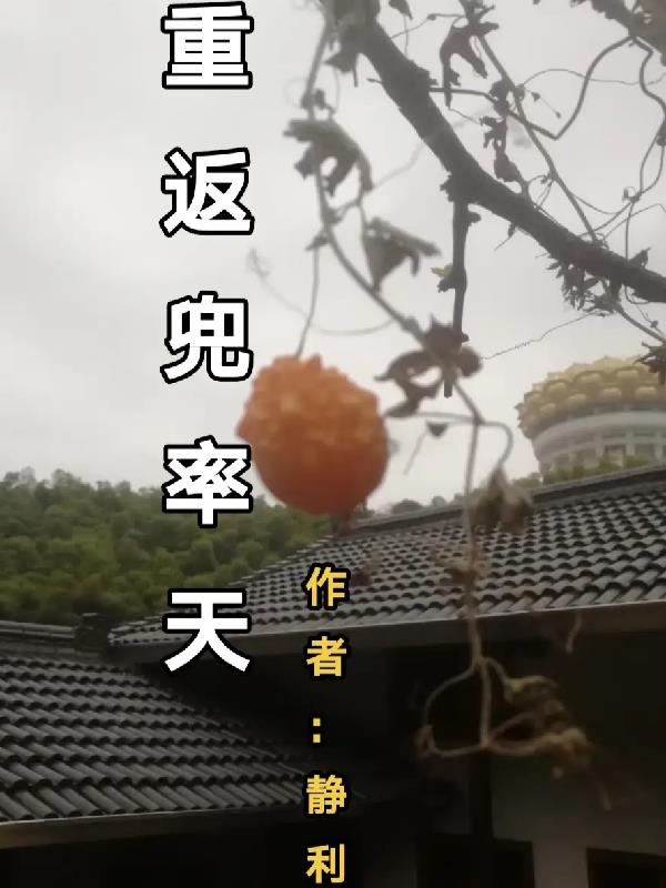 重返兜率天